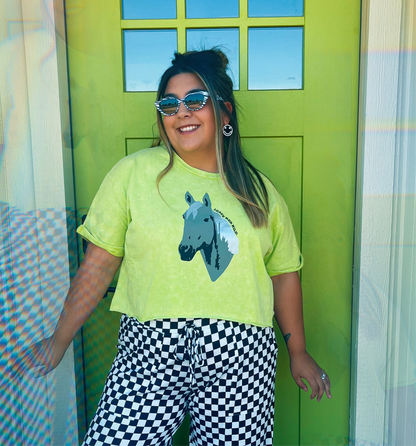 Giddy Up Oversized Cropped Tee