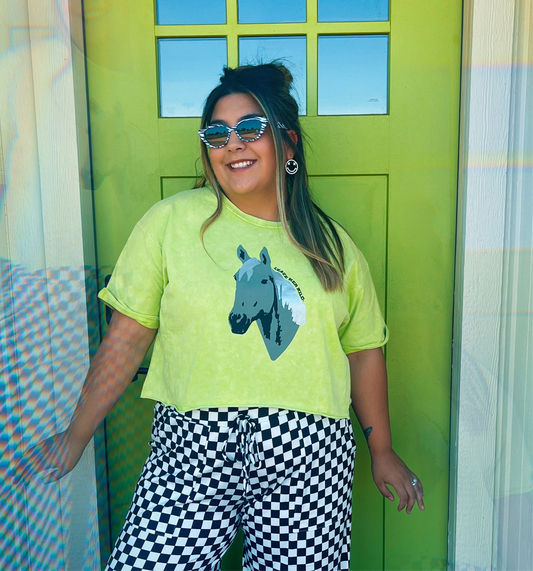 Giddy Up Oversized Cropped Tee
